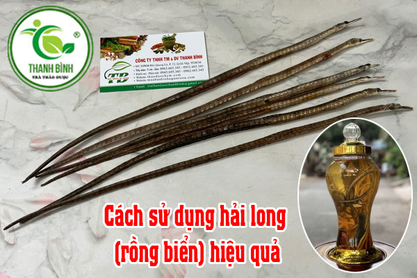 Hải Long (Rồng Biển) Thảo dược Thanh Bình