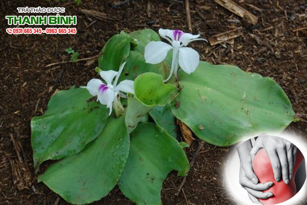 cu-dia-lien-kho-thanh-binh