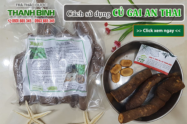 Củ gai an thai Thảo Dược Thanh Bình