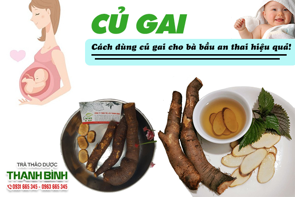 cu-gai-an-thai-thanh-binh