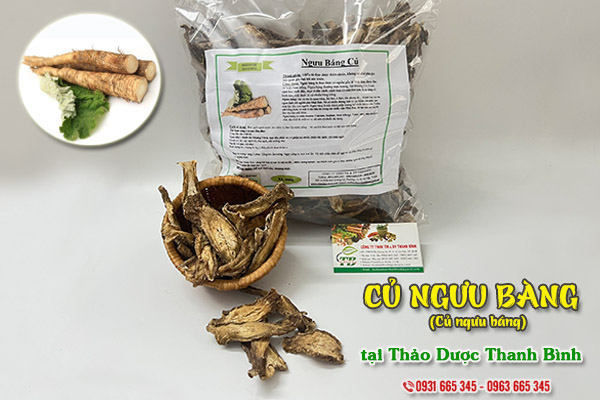 Củ ngưu báng (củ ngưu bàng) Thảo Dược Thanh Bình