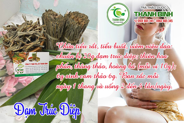 dam-truc-diep-thanh-binh