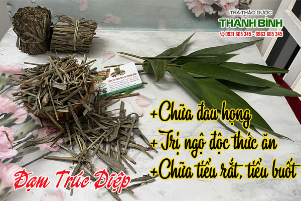 dam-truc-diep-thanh-binh-2