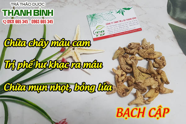 Bạch cập thảo dược Thanh Bình