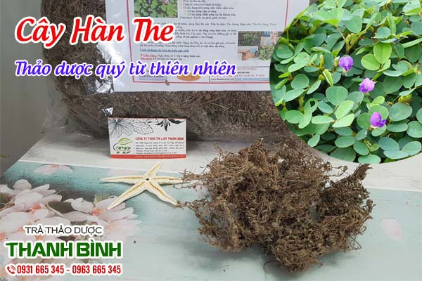 Cây hàn the