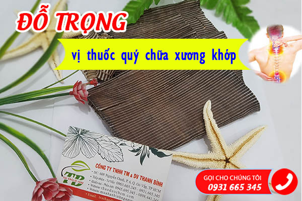 do-trong-thanh-binh