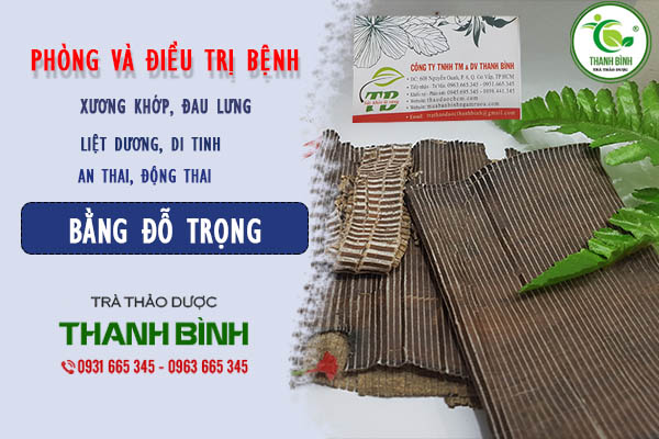 do-trong-thanh-binh-1