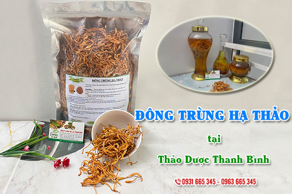 Đông trùng hạ thảo Thảo Dược Thanh Bình