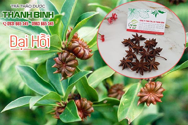 dai-hoi-thanh-binh