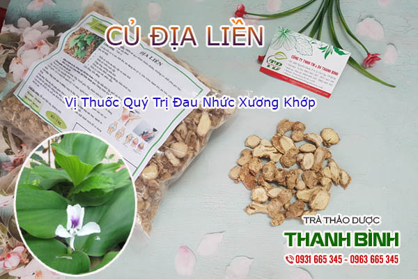 Củ địa liền Thảo dược Thanh Bình