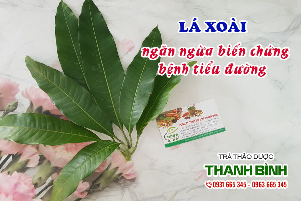 Lá xoài Thảo dược Thanh Bình