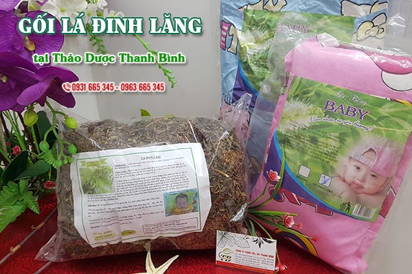 Gối lá đinh lăng Thảo Dược Thanh Bình