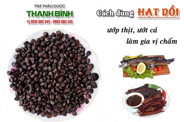 Hạt dổi Thảo Dược Thanh Bình