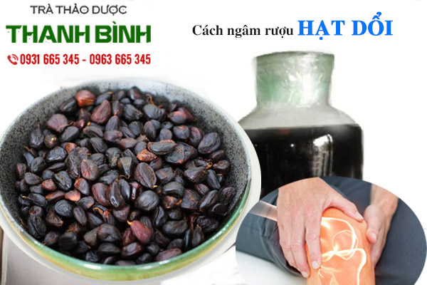 Hạt dổi Thảo Dược Thanh Bình