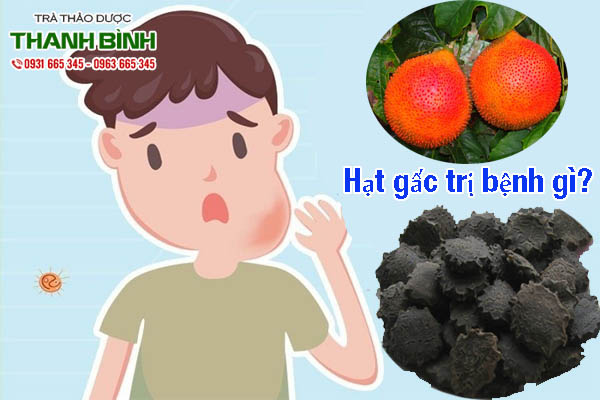 hat-gac-kho-thao-duoc-thanh-binh-2