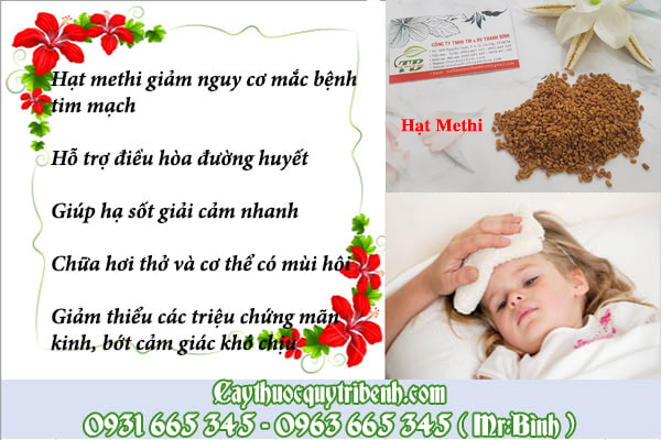 Hạt methi Ấn Độ Thảo Dược Thanh Bình