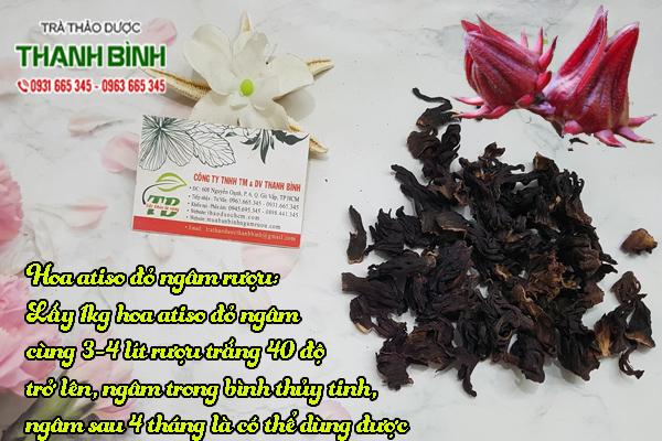hoa-atiso-do-thanh-binh-1