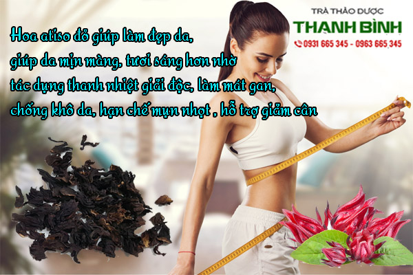 hoa-atiso-do-thanh-binh-2