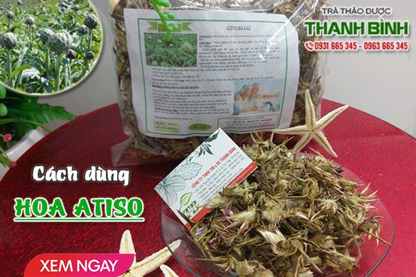 Hoa atiso Thảo Dược Thanh Bình