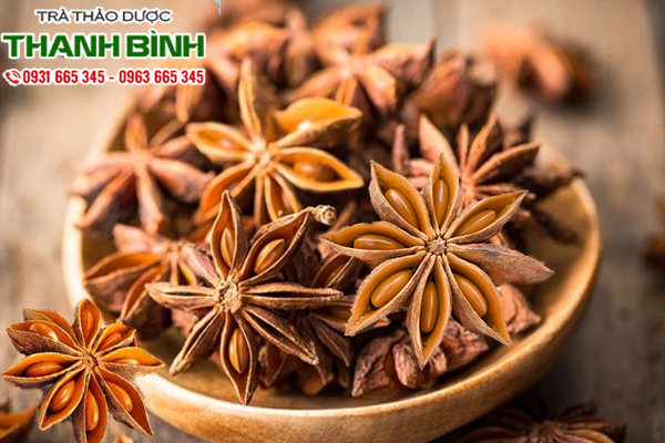 hoa-hoi-thanh-binh