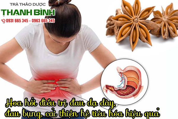 hoa-hoi-thanh-binh-1