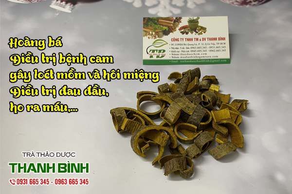 hoang-ba-thanh-binh
