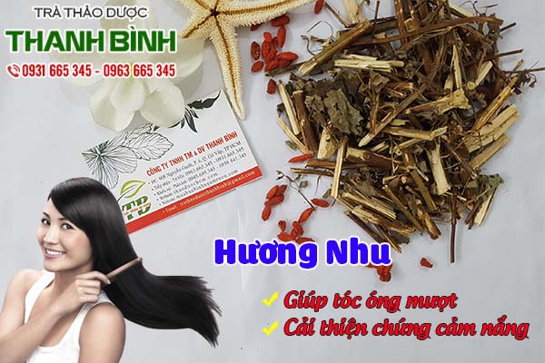 huong-nhu-thanh-binh