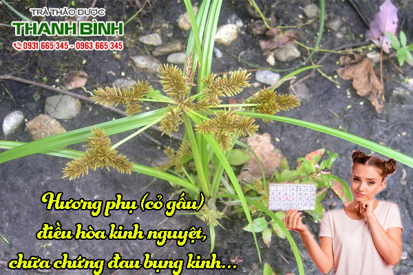 huong-phu-thanh-binh