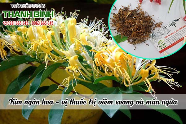 kim-ngan-hoa-thanh-binh
