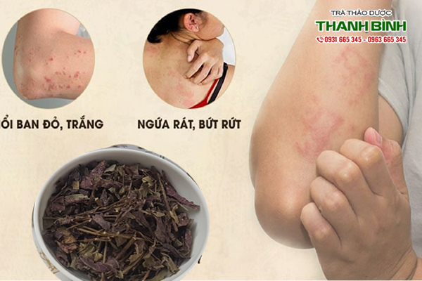 la-don-do-thao-duoc-thanh-binh-2