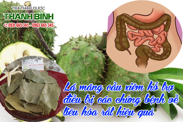 la-mang-cau-xiem-kho-thao-duoc-thanh-binh-2