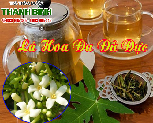 la-hoa-du-du-duc-thanh-binh