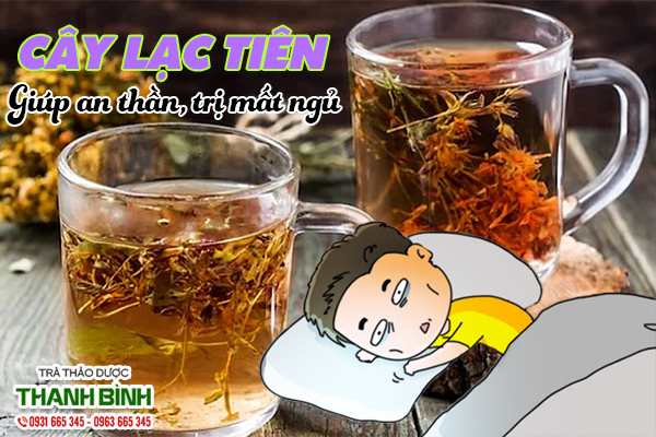 cay-lac-tien-thanh-binh