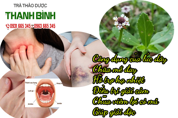luc-day-thanh-binh-1