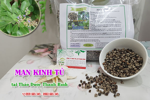Mạn kinh tử Thảo Dược Thanh Bình