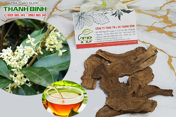 cay-moc-huong-thao-duoc-thanh-binh-3