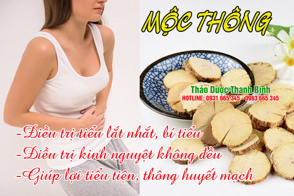 moc-thong-thanh-binh
