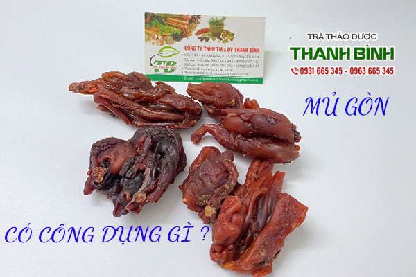 Mủ gòn thảo dược Thanh Bình