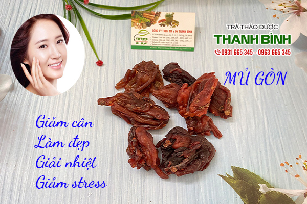 Mủ gòn thảo dược Thanh Bình