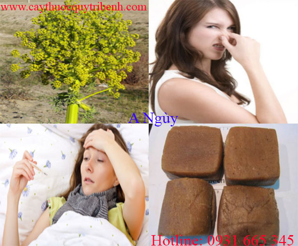 mua-a-nguy-chat-luong-tai-tp-hcm