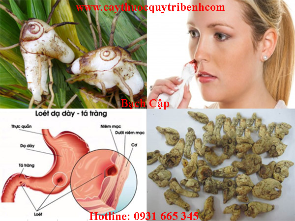 mua-bach-cap-o-dau-tai-tp-hcm-uy-tin-nhat