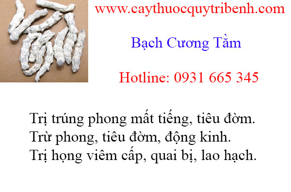mua-bach-cuong-tam-chat-luong-tai-tp-hcm