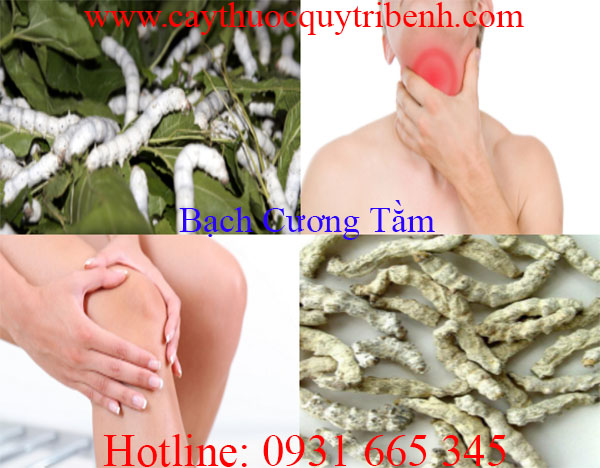 mua-bach-cuong-tam-uy-tin-chat-luong-tai-tp-hcm