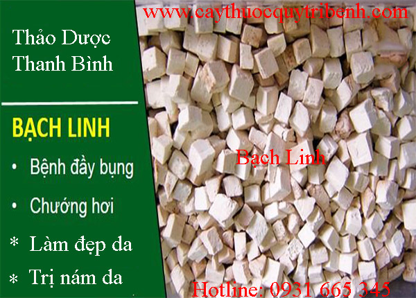 mua-bach-linh-o-dau-tai-tp-hcm