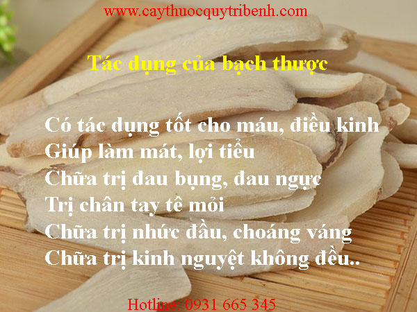 mua-bach-thuoc-o-dau-tai-tp-hcm-uy-tin-nhat