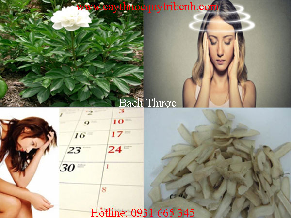 mua-bach-thuoc-o-dau-tai-tp-hcm
