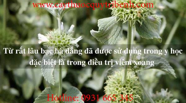 mua-ban-bac-ha-o-dau-tai-tp-hcm-uy-tin-nhat