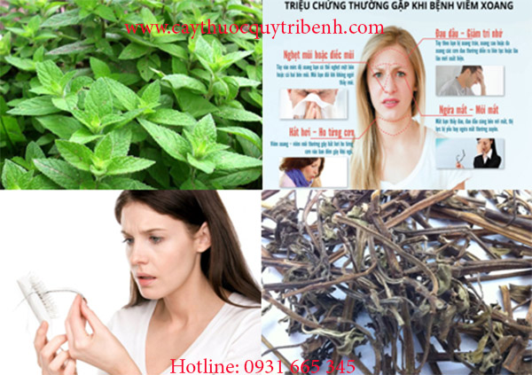 mua-ban-bac-ha-o-dau-tai-tp-hcm-uy-tin-nhat