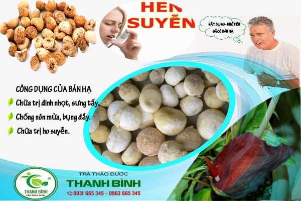 bán hạ