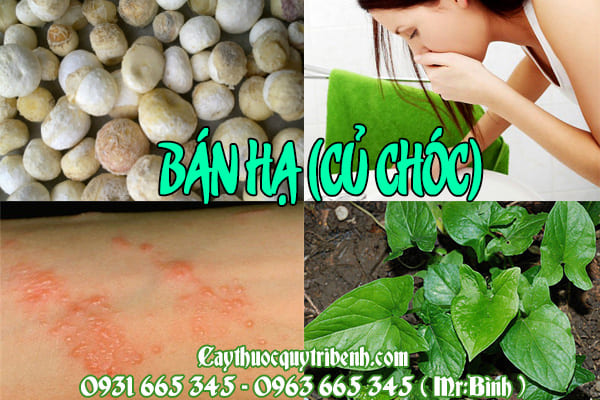 bán hạ